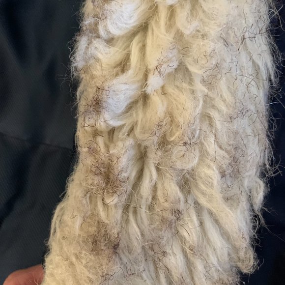 Banana Republic Womens Down Jacket Water Resistant Hood Shearling, Navy, Small - Picture 4 of 11